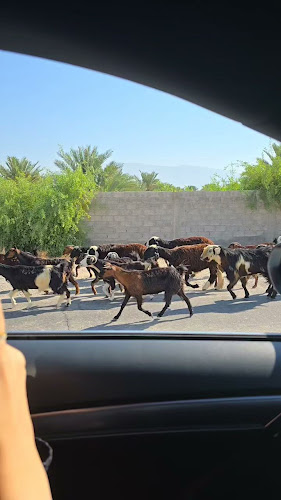 Opinii despre E18 coffee winter time în Ras Al-Khaimah - Hospitality and gastronomy