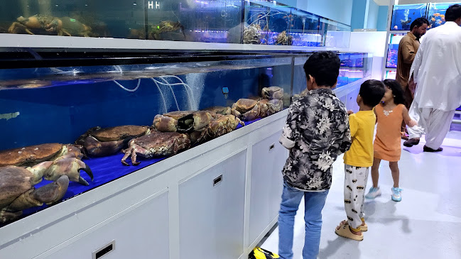 Comentarii opinii despre Fish market (wholesale section)in WaterFront market