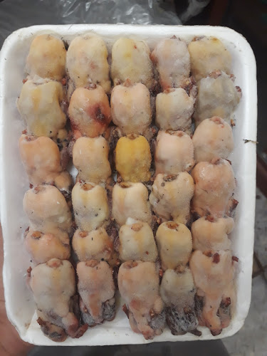 Comentarii opinii despre Dubai Camel Market