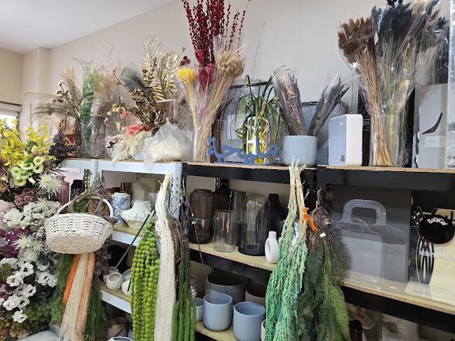 H7VC+4P3 - Al Rashidiyah - Fujairah