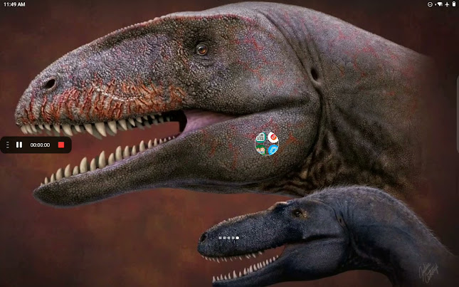 Comentarii opinii despre Five Guys Festival City Mall