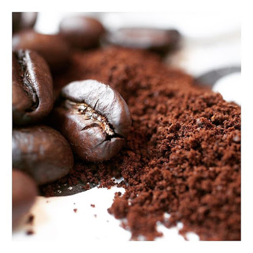 % Arabica Dubai Mall Fountains - Hospitality and gastronomy