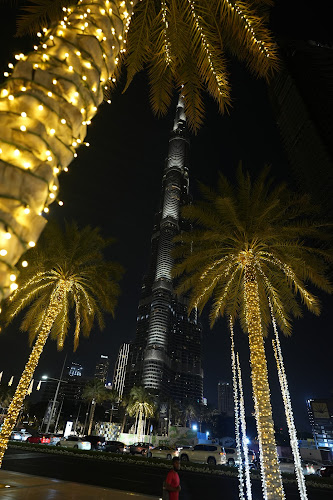 Opinii despre Vietnamese Foodies Downtown în Dubai - Hospitality and gastronomy