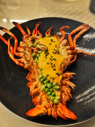 Comentarii opinii despre 101