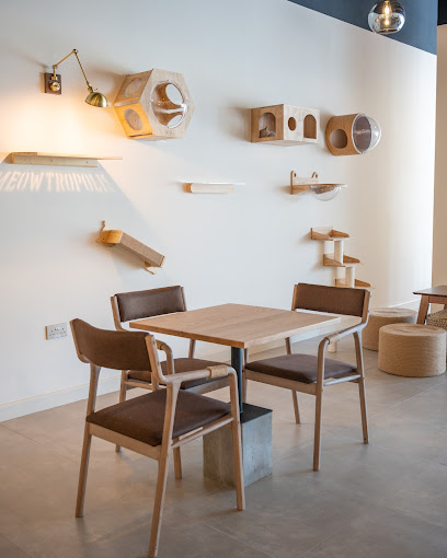 Meowtropolis Cat Cafe