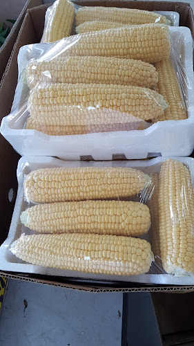 Zayed Port - Harbour - Abu Dhabi