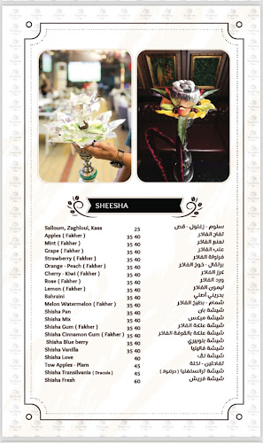 Transilvania Cafe - Hospitality and gastronomy