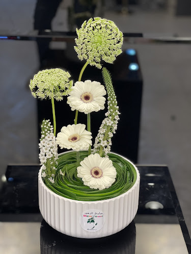 ميامي للزهور Miami Flowers