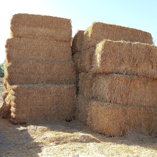 حلالي لتجارةالاعلاف والمواد الزراعية