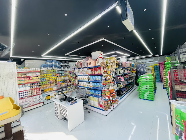 Pet Related Birds Trading