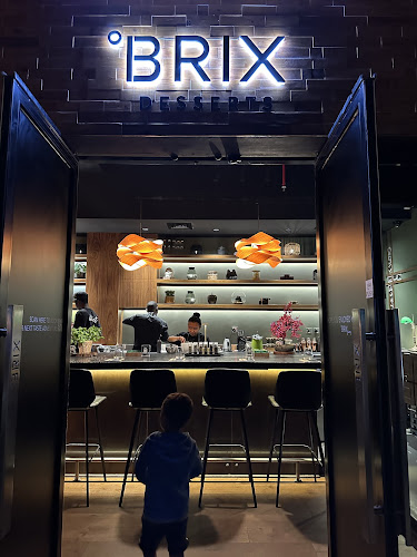 BRIX Journey - Dubai