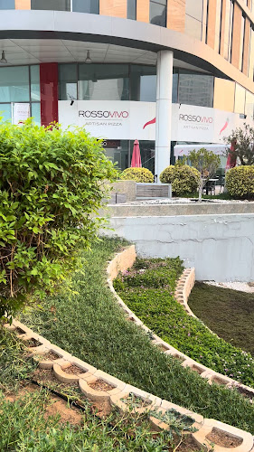 Rossovivo Artisan Pizza