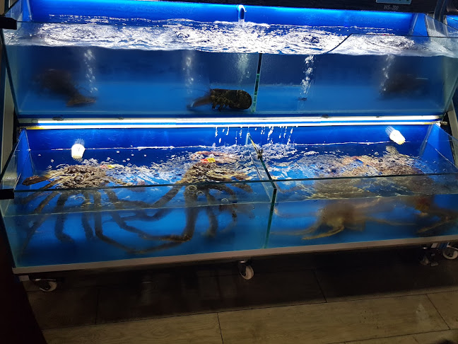 Comentarii opinii despre Red Shrimpo restaurant and cafe