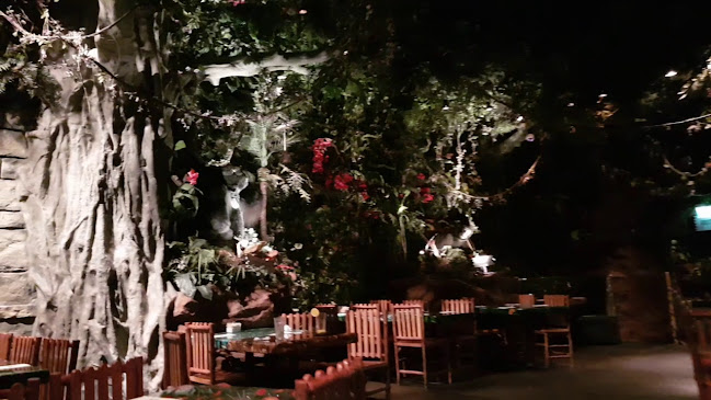 Opinii despre Rainforest Cafe | Dubai Mall în Dubai - Hospitality and gastronomy