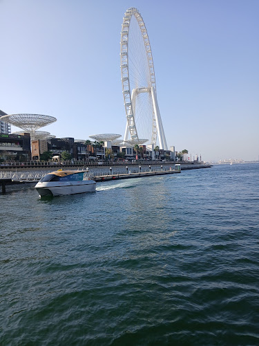 Salt & Pepper - Hospitality and gastronomy