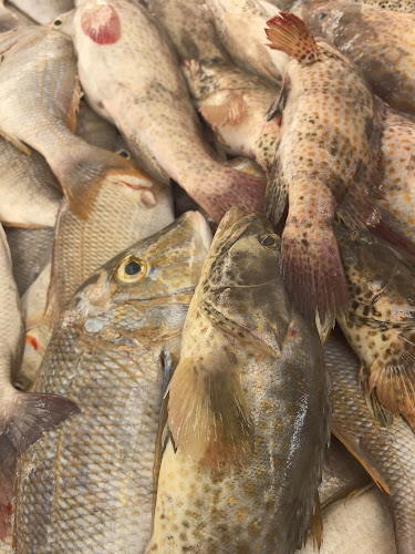 Comentarii opinii despre Jawaher Fish Cooking