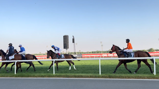 Opinii despre The Stables Dubai at Meydan World Cup în Dubai - Hospitality and gastronomy