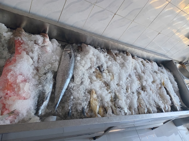 النورس الثالث لبيع الاسماك nawras fish shop