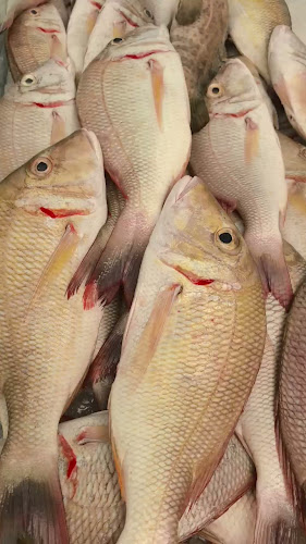 Opinii despre Jawaher Fish Cooking în Ajman - Hospitality and gastronomy