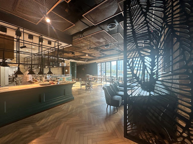 MToad's Pub & Kitchen - Ba - Hospitality and gastronomy