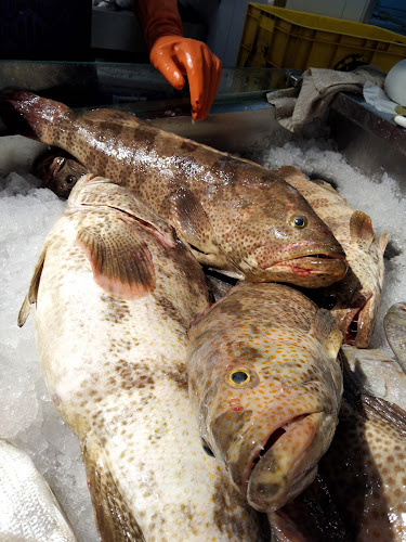 Al Maqta Fresh Fish-المقطع للأسماك - Hospitality and gastronomy