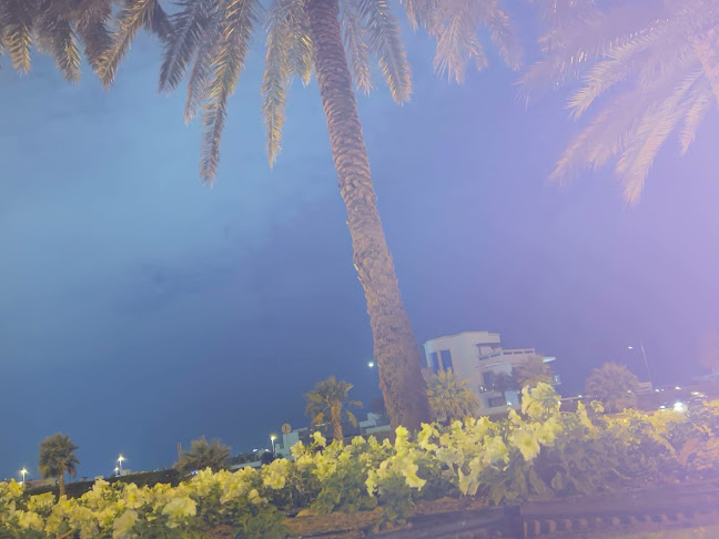 Comentarii opinii despre الممزر دبي