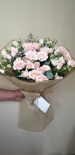 Bldg 235, shop #1, BSHR BIN AMIR ST. 21 Al Manakh area near Kuwait Road Sharjah Bldg 235, shop #1, BSHR BIN AMIR ST. 21 Al Manakh area - near Kuwait Square - Sharjah