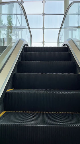 Comentarii opinii despre Bosporus Turkish Cuisine - City Centre Mirdif - مطعم بوسبورس مردف سيتي سنتر