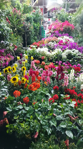 Comentarii opinii despre Emirates garden market