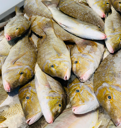 شوي الأسماك الشامخة - Abu Dhabi