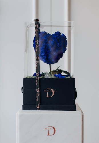 Comentarii opinii despre Dia Flower