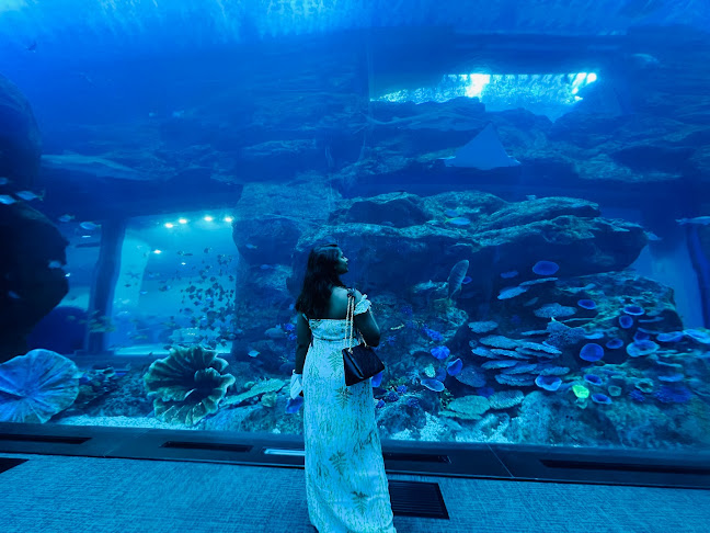 Sea World - Hospitality and gastronomy