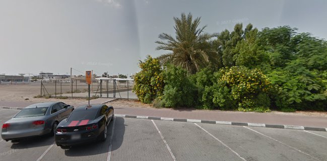 mst artisan bakery | مست بيكري