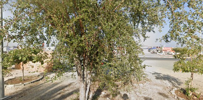 UMM KHAMMAS TRADIOTIONAL FOOD ام خماس الماكولات الشعبية Emirati food