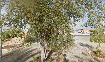 UMM KHAMMAS TRADIOTIONAL FOOD ام خماس الماكولات الشعبية Emirati food