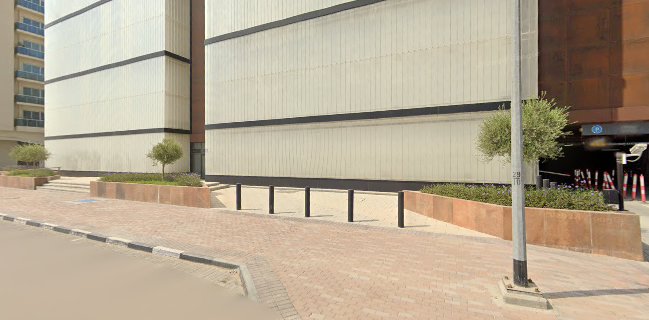 كشري السيد حنفي - السيليكون