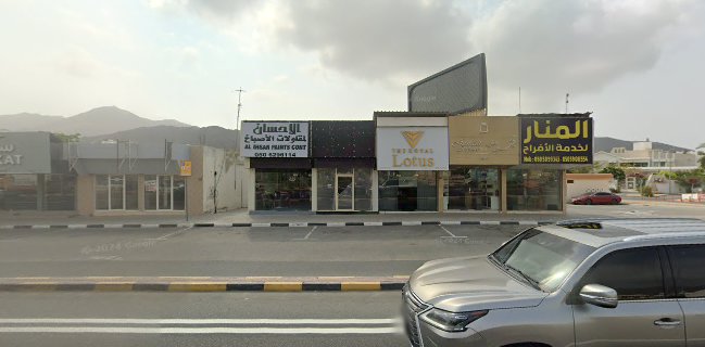 فواكه الربيع للعصائر