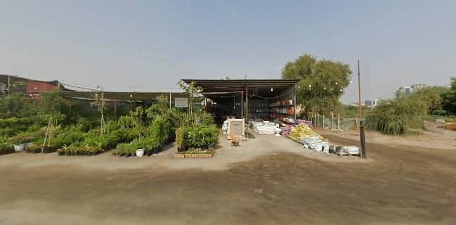 Taj Plants & Flower sales